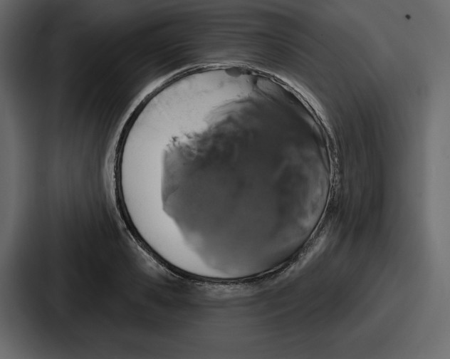 X0000086780941200705111752