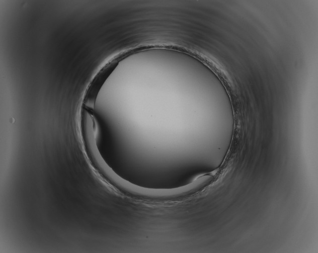 X0000086780942200705111752