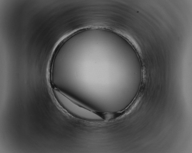 X0000086780944200705111752