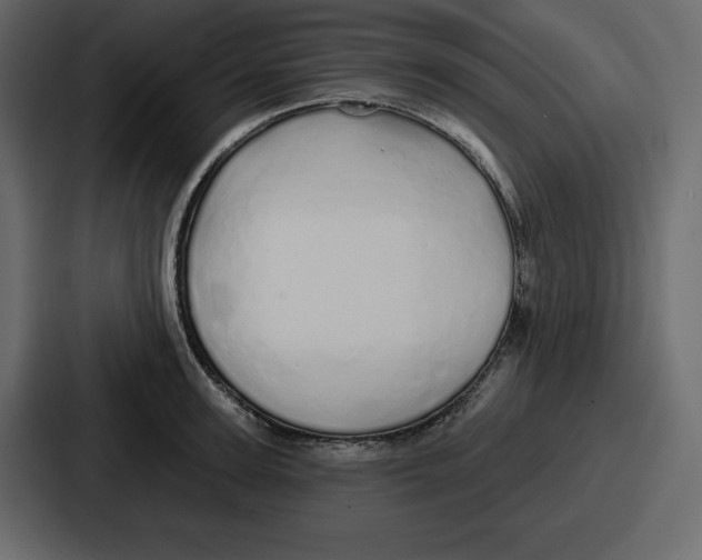 X0000086780947200705111752