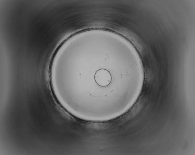 X0000086780950200705111752