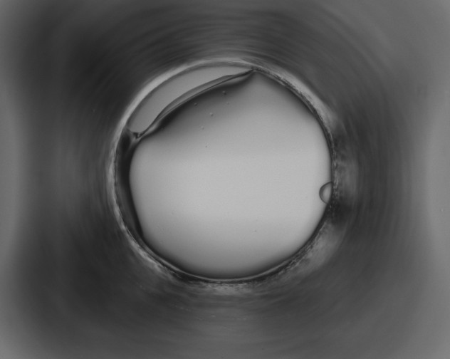 X0000086780951200705111752