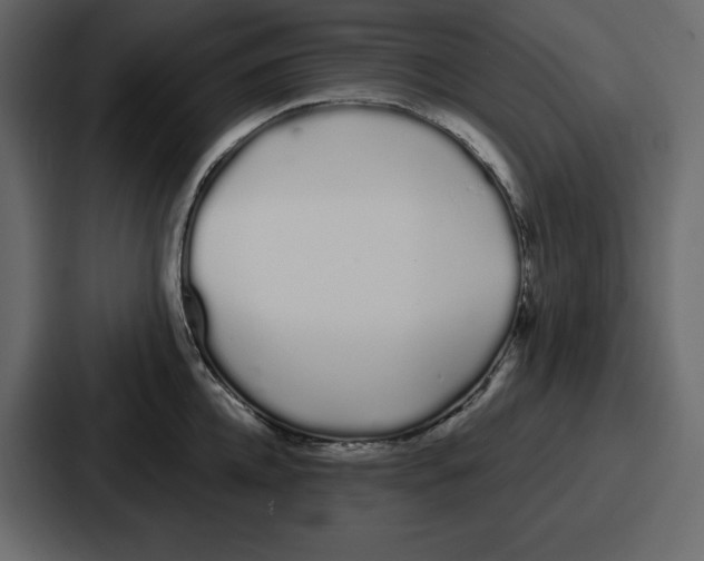 X0000086780952200705111752