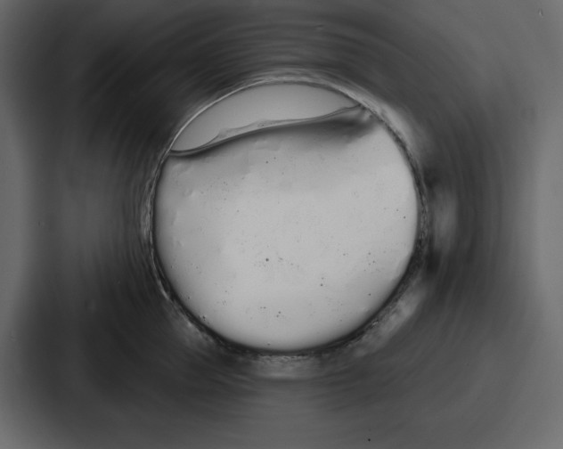 X0000086780953200705111752