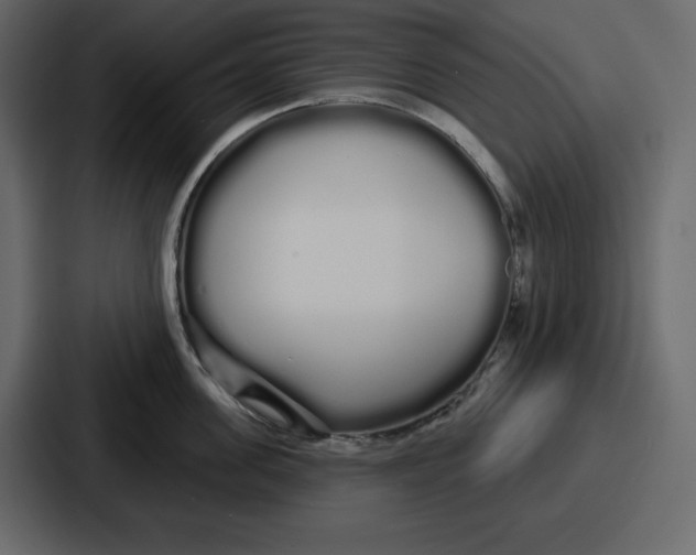 X0000086780955200705111752