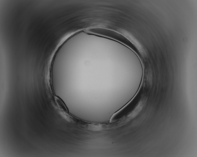 X0000086780956200705111752