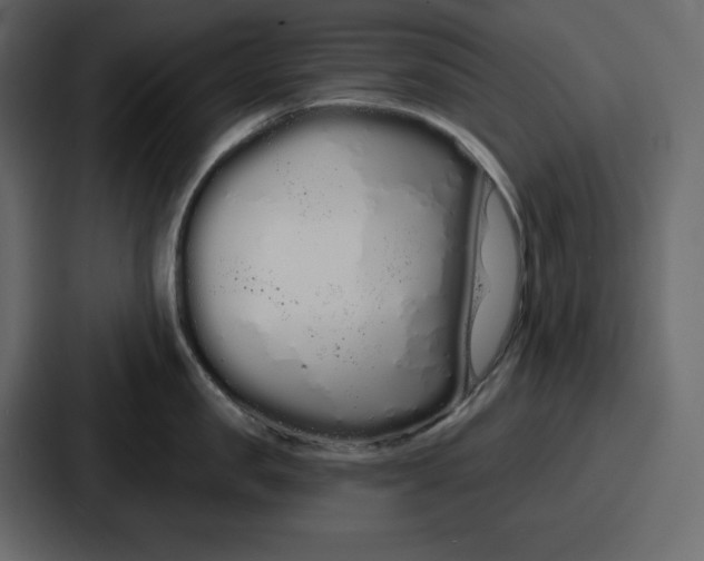 X0000086780957200705111752