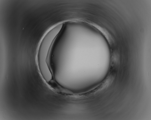 X0000086780959200705111752