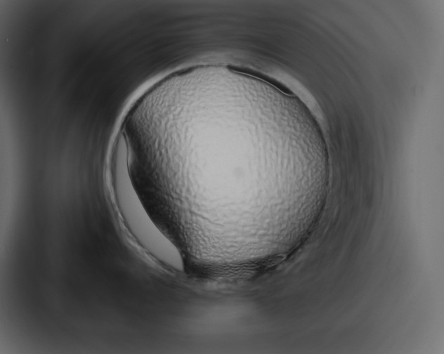 X0000086780960200705111752