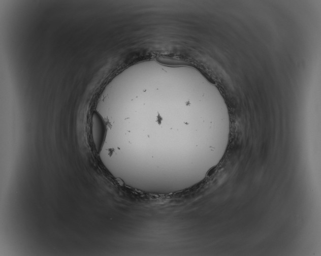 X0000086780961200705111752