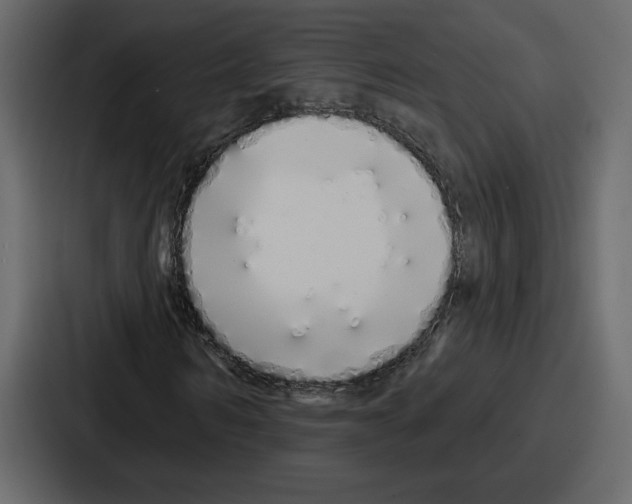 X0000086780962200705111752