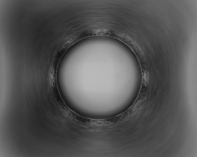 X0000086780963200705111752