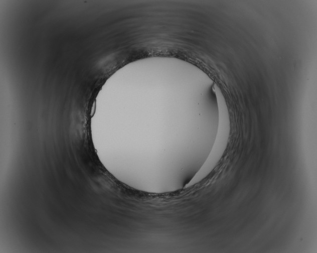 X0000086780964200705111752