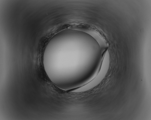 X0000086780965200705111752