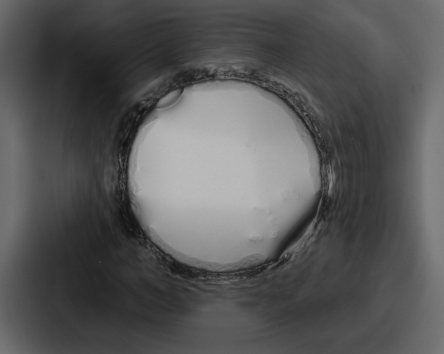 X0000086780966200705111752