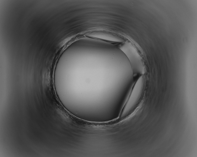 X0000086780969200705111752