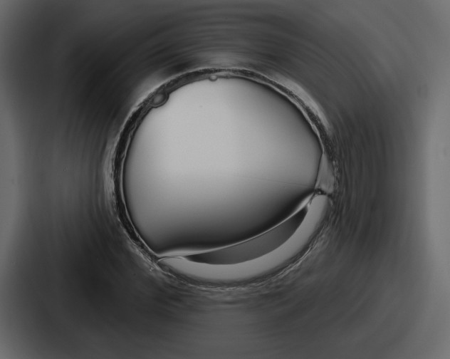 X0000086780972200705111752