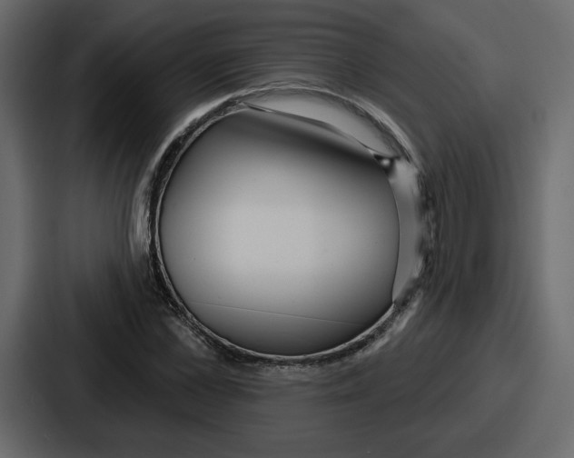 X0000086780973200705111752