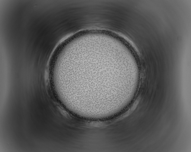 X0000086780974200705111751