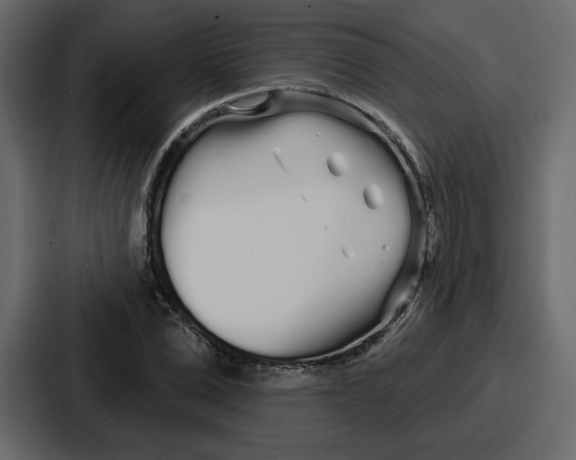 X0000086780975200705111751