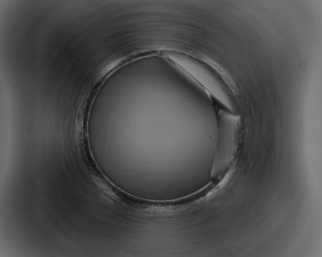 X0000086780977200705111751