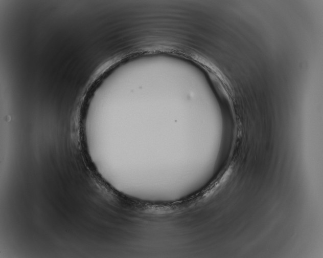 X0000086780978200705111751