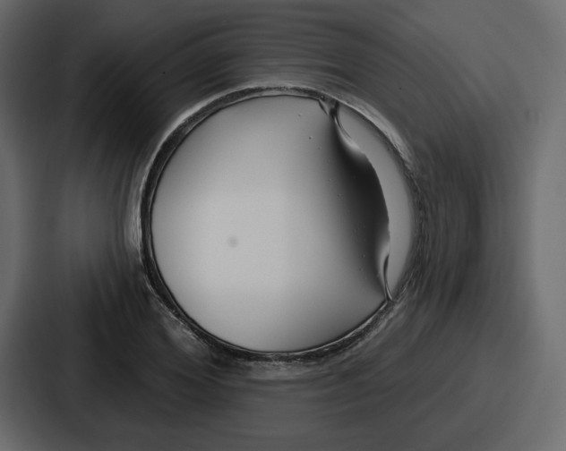 X0000086780980200705111751