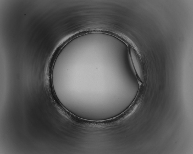 X0000086780981200705111751