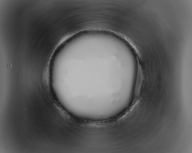 X0000086780982200705111751