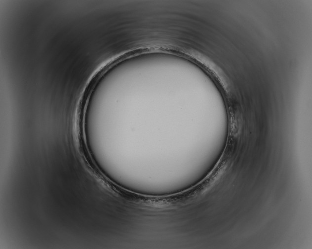 X0000086780983200705111751