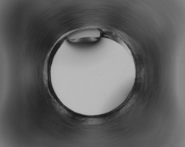 X0000086780984200705111751