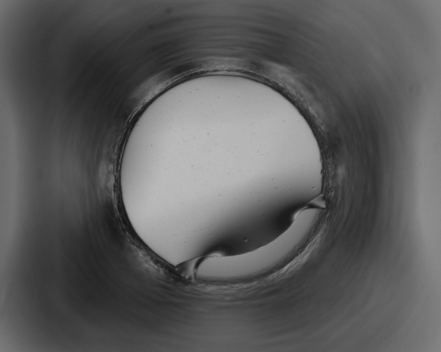 X0000086780985200705111751