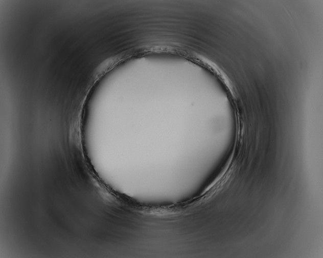 X0000086780986200705111751