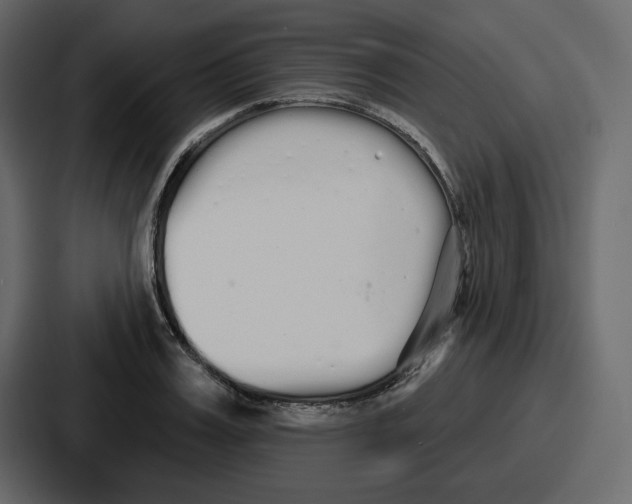 X0000086780987200705111751