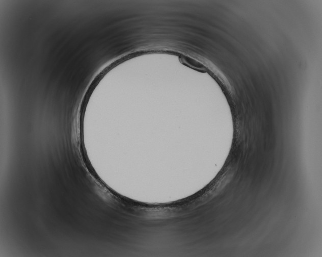 X0000086780988200705111751