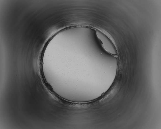 X0000086780989200705111751