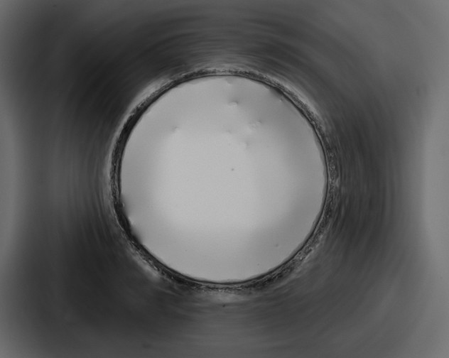 X0000086780990200705111751