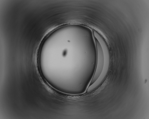 X0000086780991200705111751