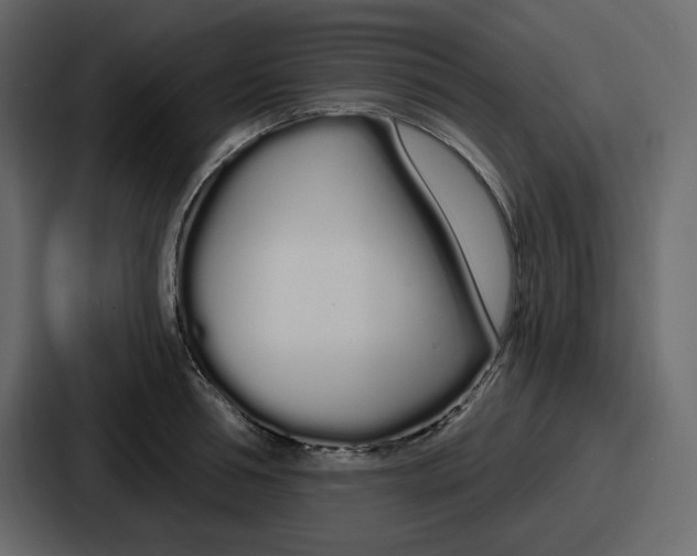 X0000086780994200705111751