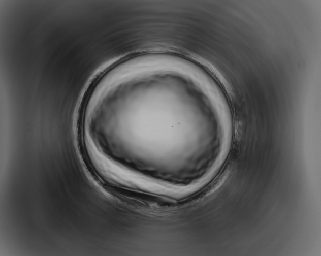 X0000086780995200705111751