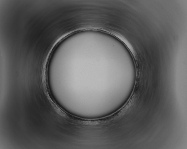 X0000086780996200705111751