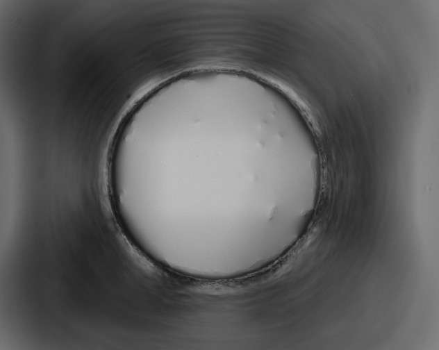 X0000086780998200705111751