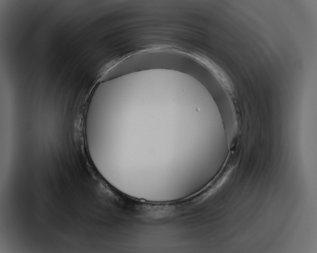 X0000086781001200705111751