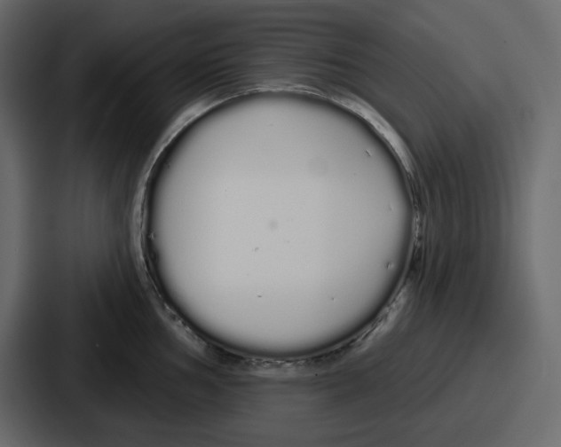 X0000086781002200705111751