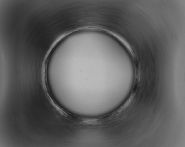 X0000086781006200705111751