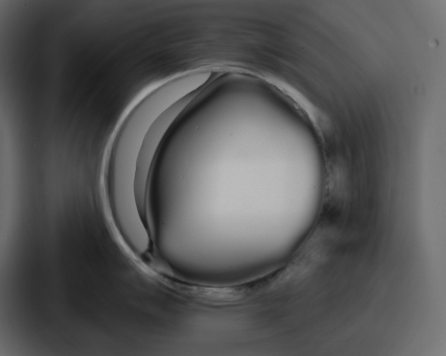 X0000086781007200705111751