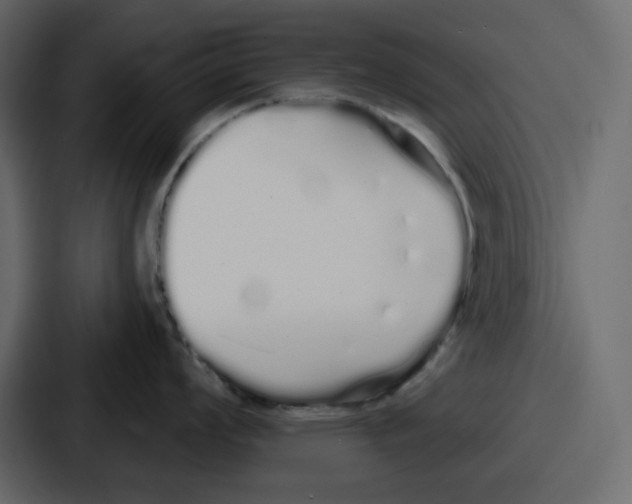 X0000086781008200705111751