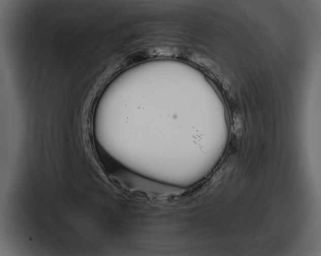 X0000086781009200705111750