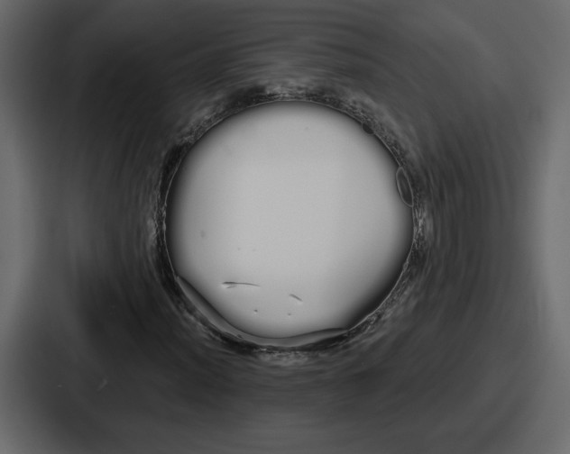 X0000086781012200705111750