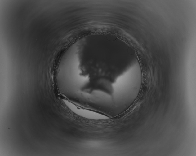 X0000086781013200705111750